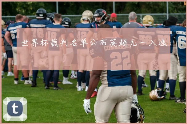 世界杯裁判名单公布英超无一入选