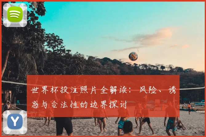 世界杯投注照片全解读：风险、诱惑与合法性的边界探讨
