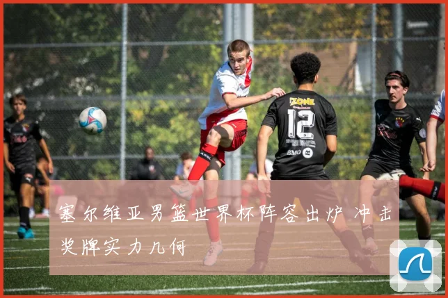 塞尔维亚男篮世界杯阵容出炉 冲击奖牌实力几何