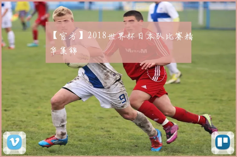 【官方】2018世界杯日本队比赛精华集锦