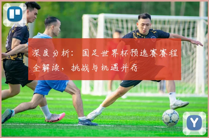 深度分析：国足世界杯预选赛赛程全解读，挑战与机遇并存