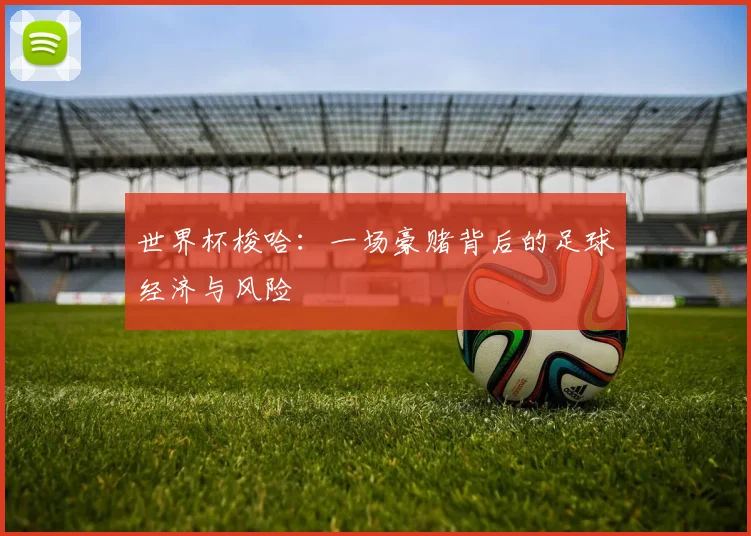 世界杯梭哈:一场豪赌背后的足球经济与风险