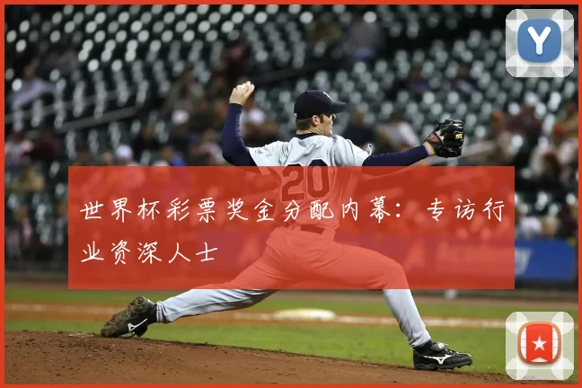 世界杯彩票奖金分配内幕:专访行业资深人士