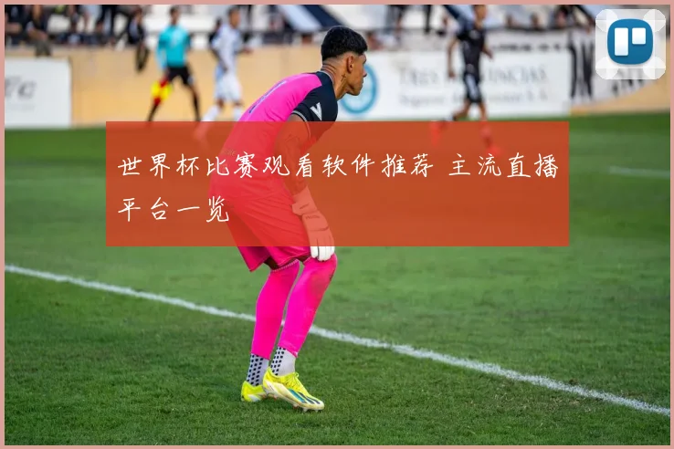 世界杯比赛观看软件推荐 主流直播平台一览