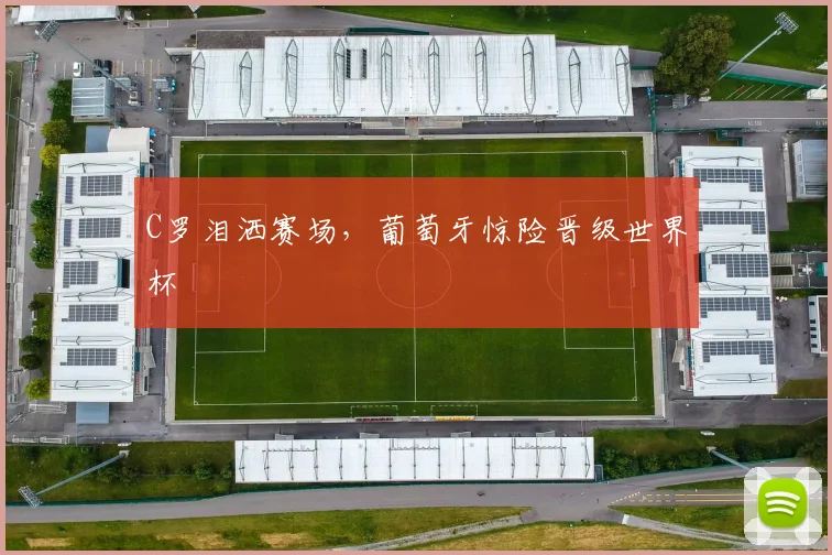 C罗泪洒赛场，葡萄牙惊险晋级世界杯