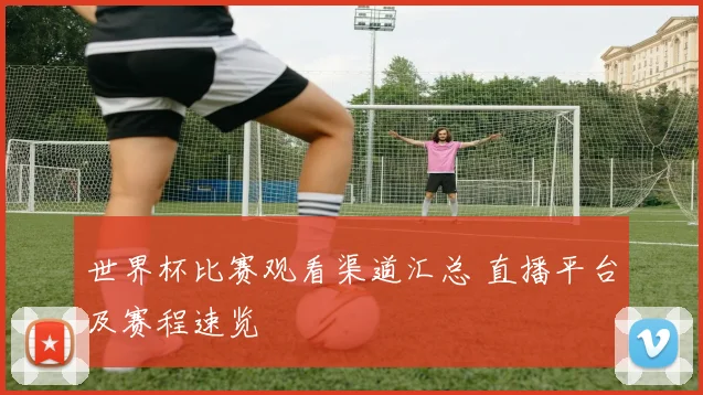 世界杯比赛观看渠道汇总 直播平台及赛程速览