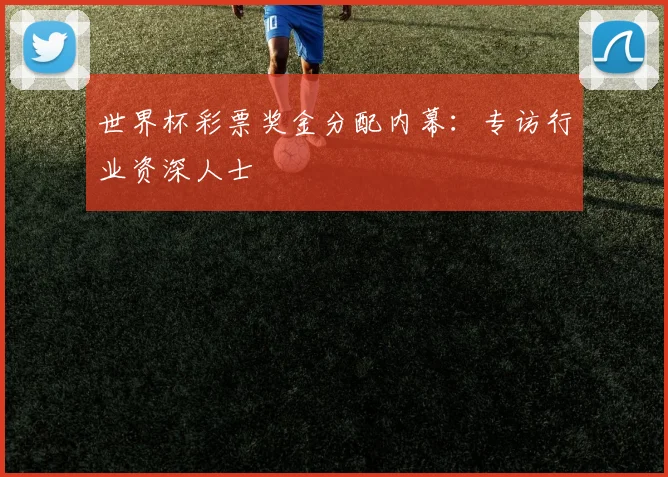 世界杯彩票奖金分配内幕:专访行业资深人士
