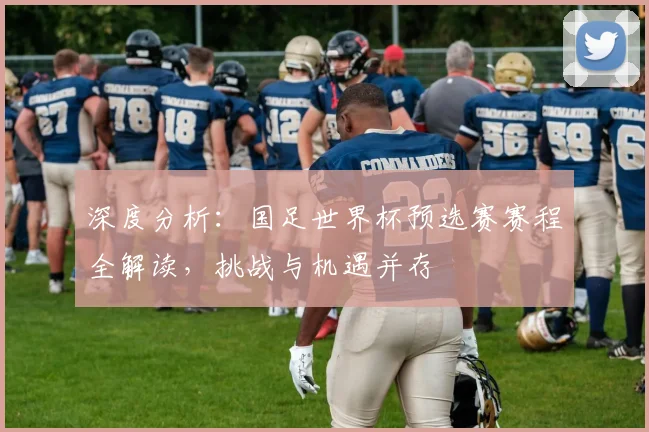 深度分析：国足世界杯预选赛赛程全解读，挑战与机遇并存