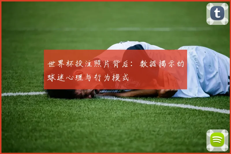世界杯投注照片背后：数据揭示的球迷心理与行为模式