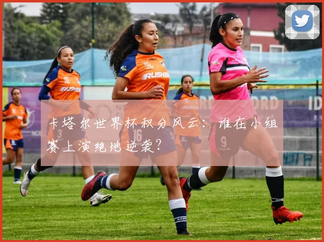 卡塔尔世界杯积分风云:谁在小组赛上演绝地逆袭?